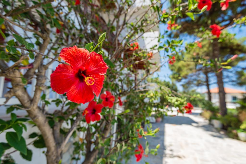 Tassos & Marios Apartments II Alykanas  Exteriér fotografie