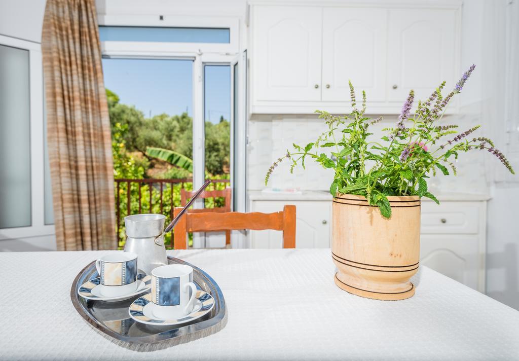 Tassos & Marios Apartments II Alykanas  Pokoj fotografie