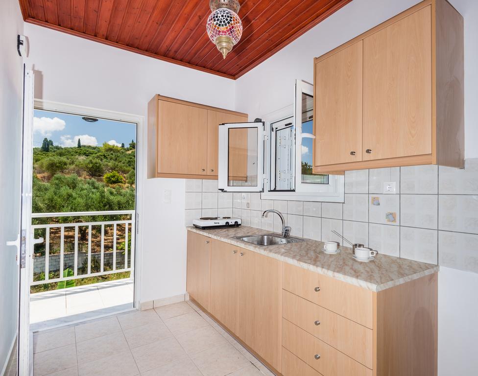 Tassos & Marios Apartments II Alykanas  Pokoj fotografie